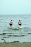 ���������� ������� ����������