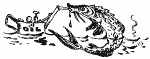   - 01