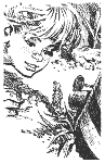    - 03