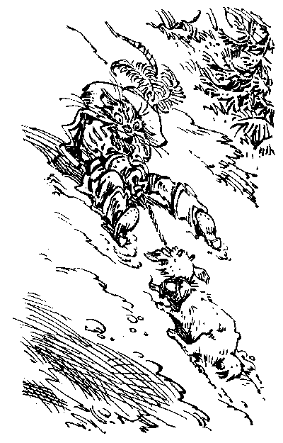   - 25